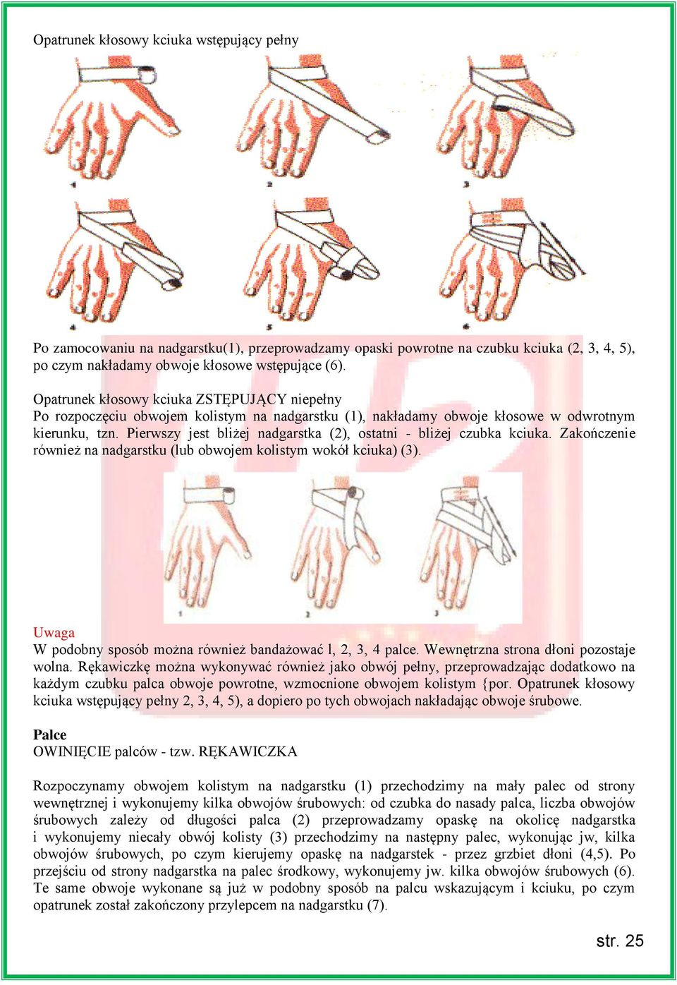 Pierwszy jest bliżej nadgarstka (2), ostatni - bliżej czubka kciuka. Zakończenie również na nadgarstku (lub obwojem kolistym wokół kciuka) (3).