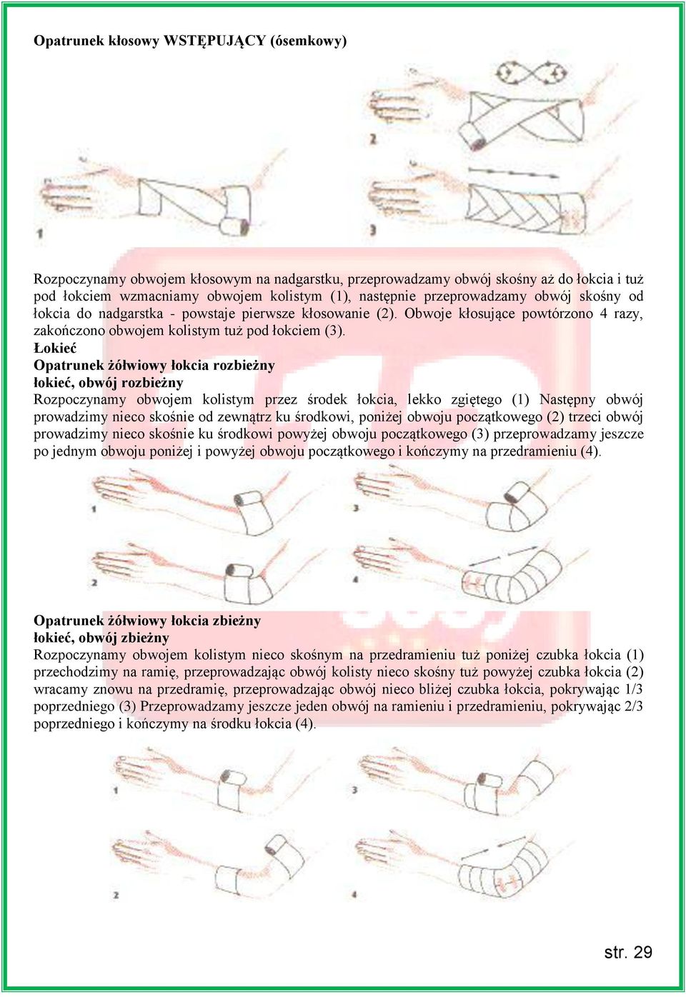 Łokieć Opatrunek żółwiowy łokcia rozbieżny łokieć, obwój rozbieżny Rozpoczynamy obwojem kolistym przez środek łokcia, lekko zgiętego (1) Następny obwój prowadzimy nieco skośnie od zewnątrz ku