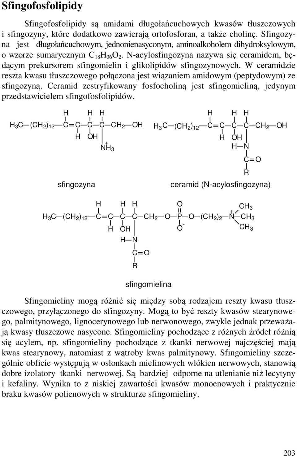 N-acylosfingozyna nazywa się ceramidem, będącym prekursorem sfingomielin i glikolipidów sfingozynowych.