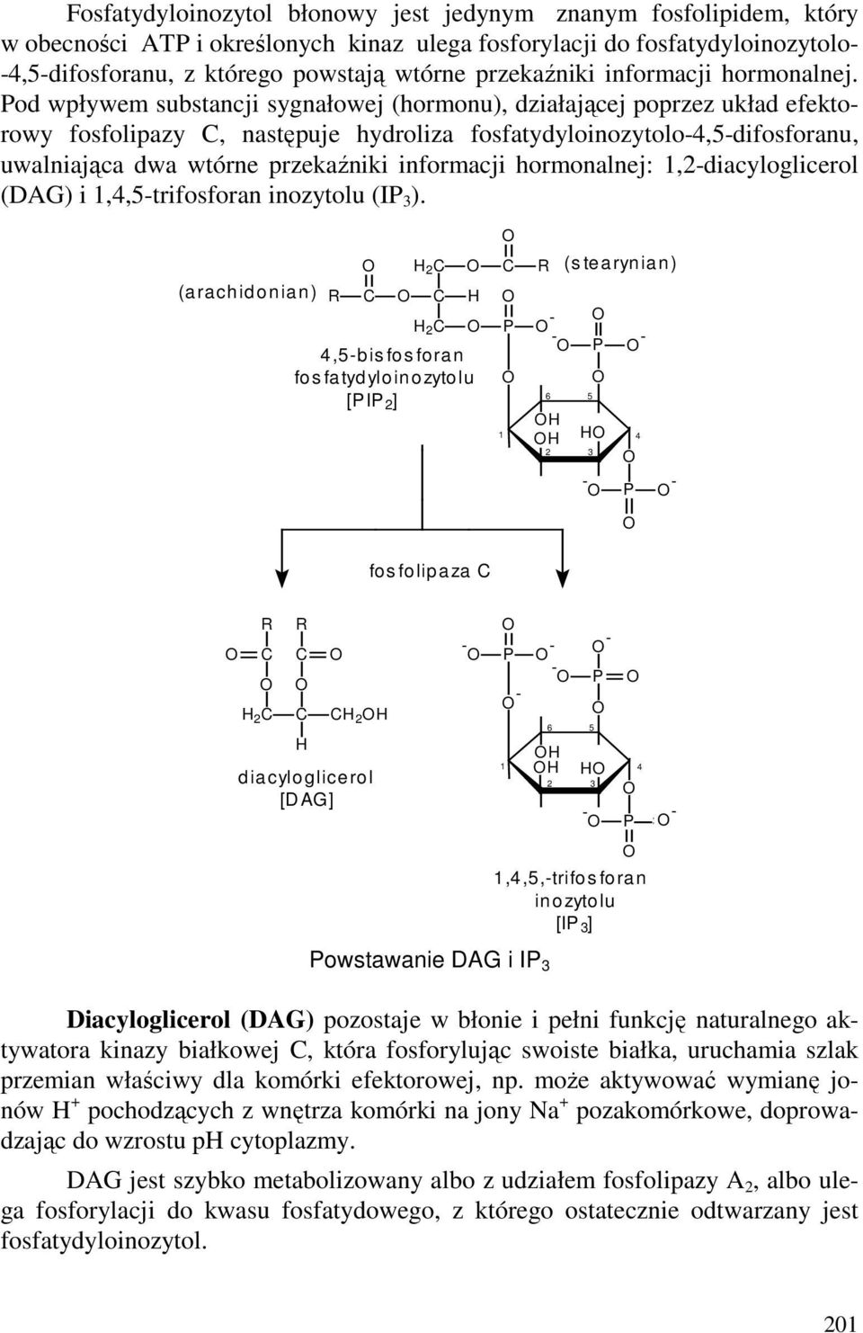 Pod wpływem substancji sygnałowej (hormonu), działającej poprzez układ efektorowy fosfolipazy, następuje hydroliza fosfatydyloinozytolo-4,5-difosforanu, uwalniająca dwa wtórne przekaźniki informacji
