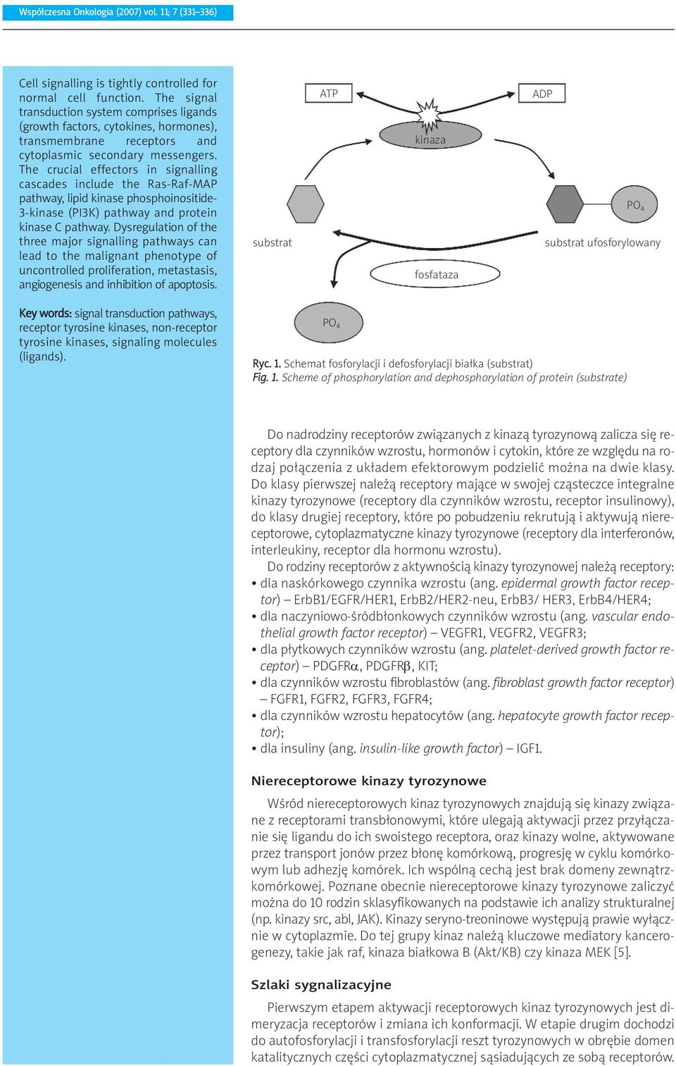The crucial effectors in signalling cascades include the Ras-Raf-MAP pathway, lipid kinase phosphoinositide- 3-kinase (PI3K) pathway and protein kinase C pathway.