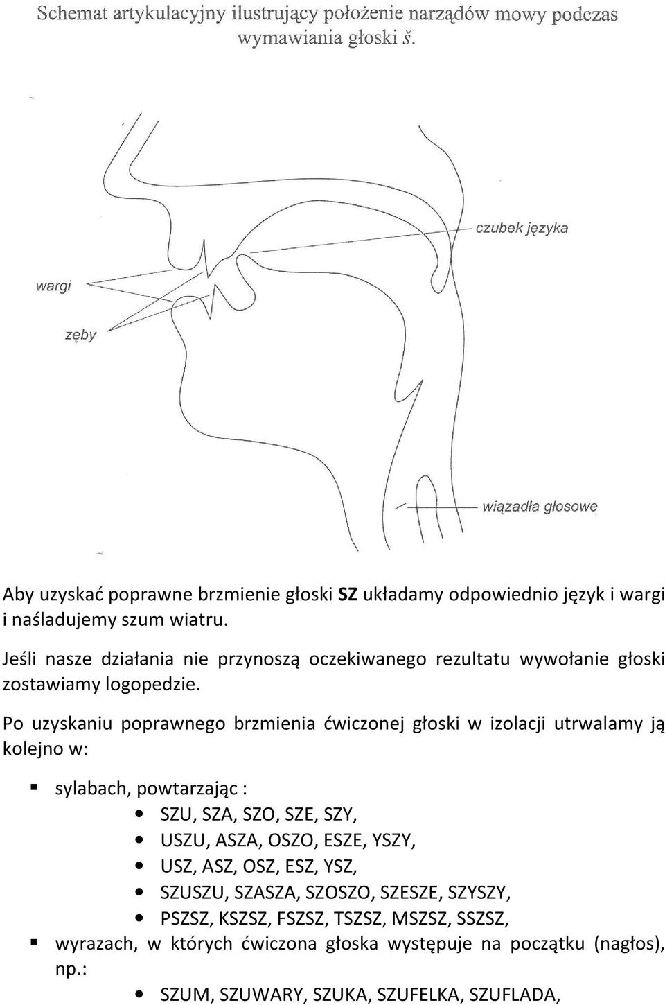 Po uzyskaniu poprawnego brzmienia ćwiczonej głoski w izolacji utrwalamy ją kolejno w: sylabach, powtarzając : SZU, SZA, SZO, SZE, SZY, USZU, ASZA,