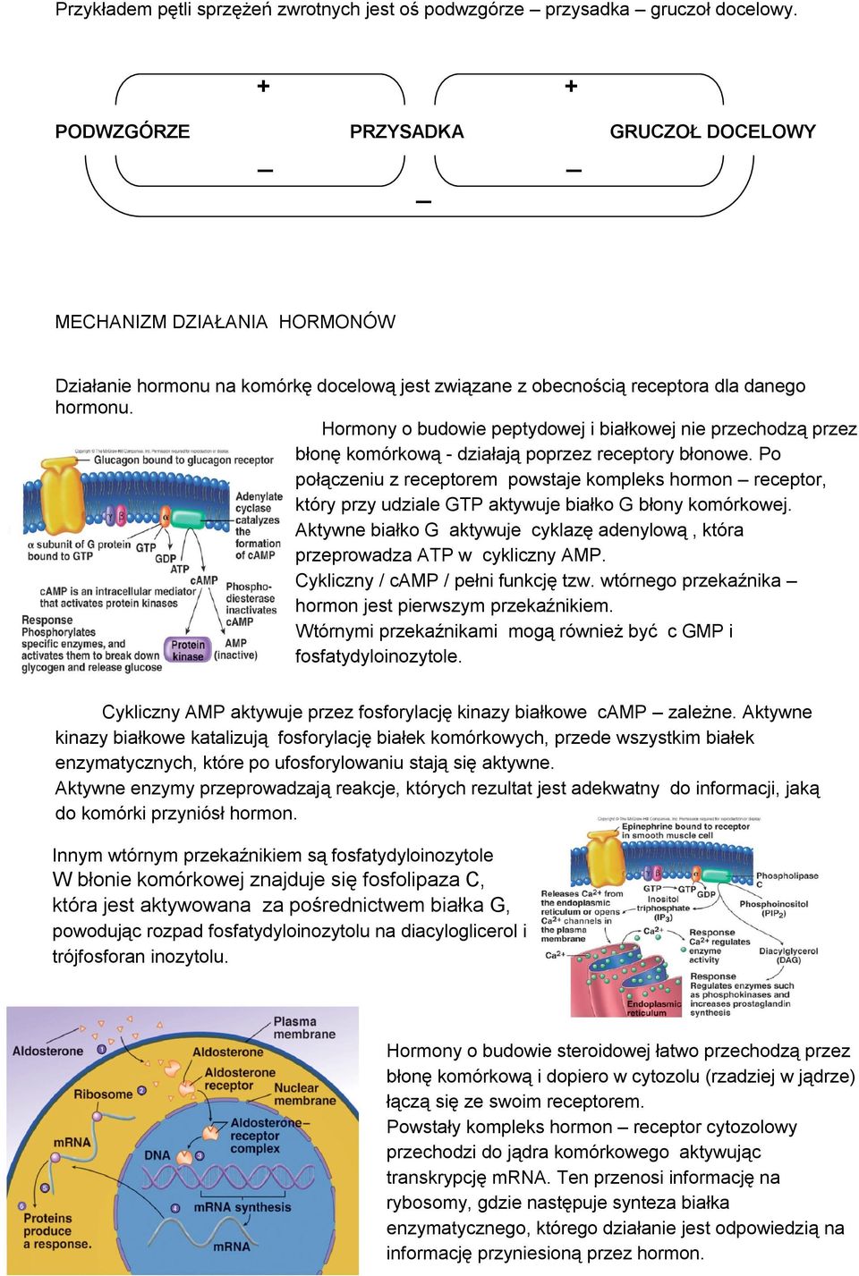 Hormony o budowie peptydowej i białkowej nie przechodzą przez błonę komórkową - działają poprzez receptory błonowe.