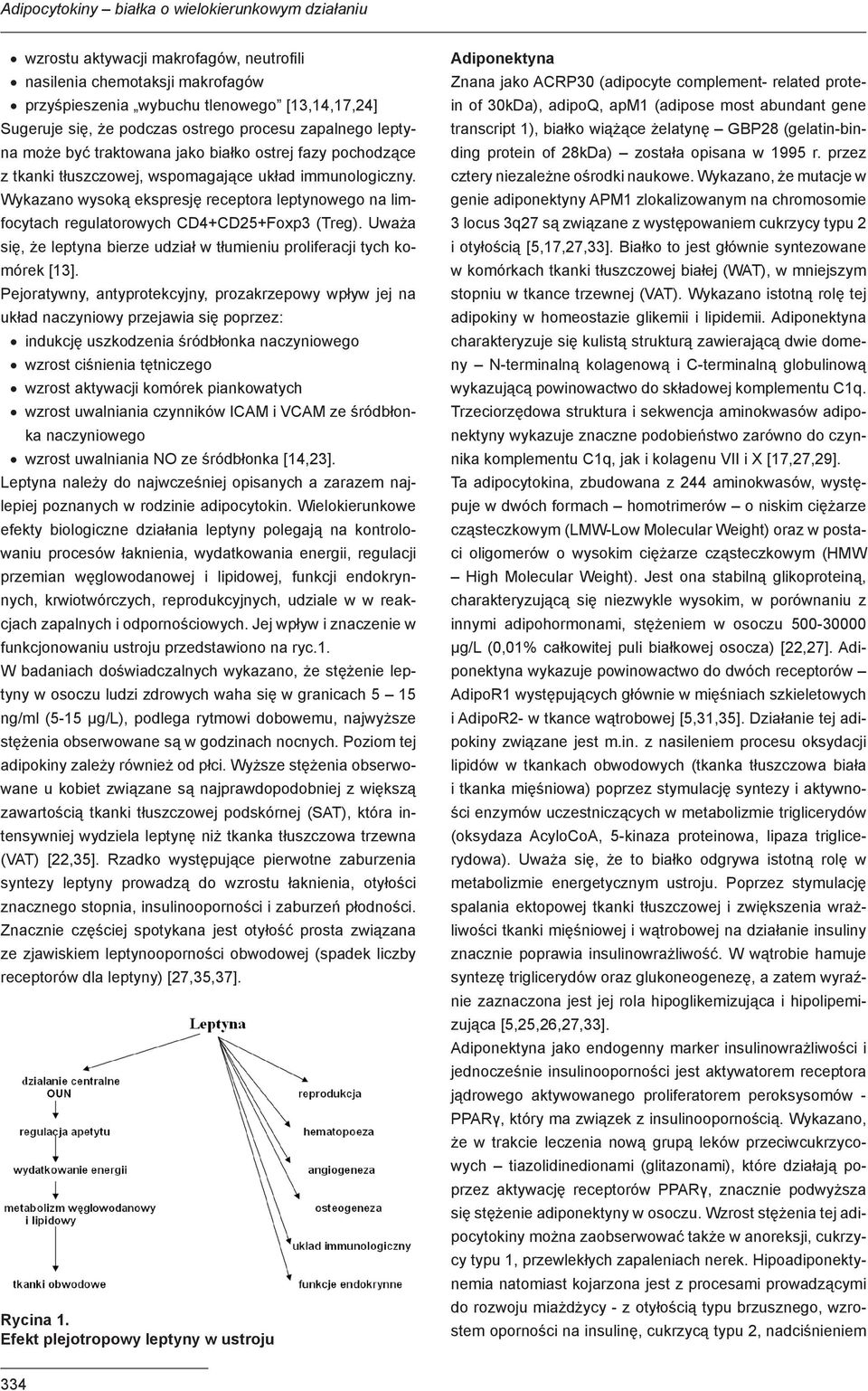 Wykazano wysoką ekspresję receptora leptynowego na limfocytach regulatorowych CD4+CD25+Foxp3 (Treg). Uważa się, że leptyna bierze udział w tłumieniu proliferacji tych komórek [13].
