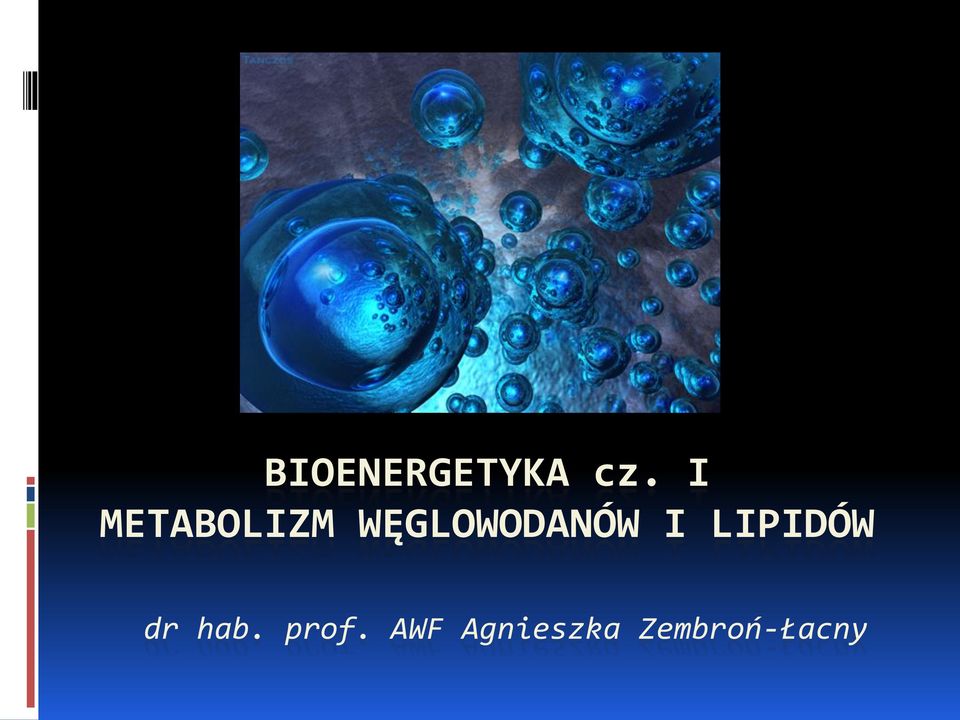 WĘGLOWODANÓW I LIPIDÓW