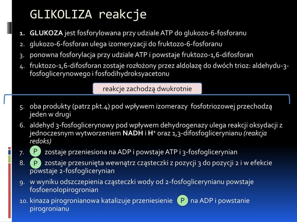 fruktozo-1,6-difosforan zostaje rozłożony przez aldolazę do dwóch trioz: aldehydu-3- fosfoglicerynowego i fosfodihydroksyacetonu reakcje zachodzą dwukrotnie 5. oba produkty (patrz pkt.