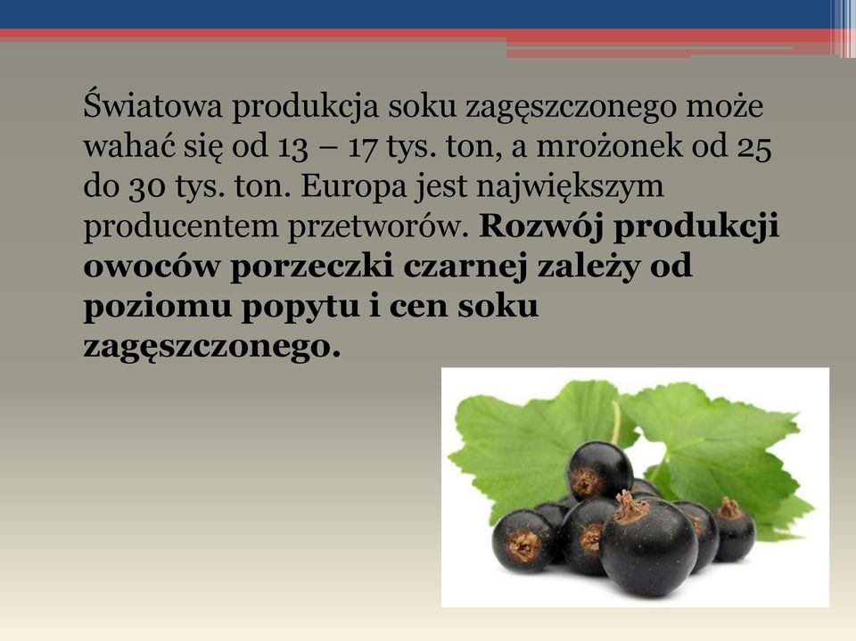 Rozwój produkcji owoców porzeczki czarnej zależy od poziomu