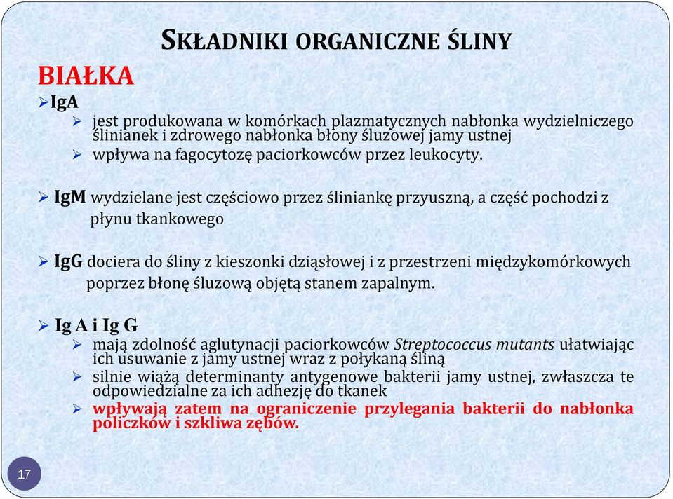 IgM wydzielane jest częściowo przez śliniankę przyuszną, a część pochodzi z płynu tkankowego IgG dociera do śliny z kieszonki dziąsłowej i z przestrzeni międzykomórkowych poprzez błonę śluzową