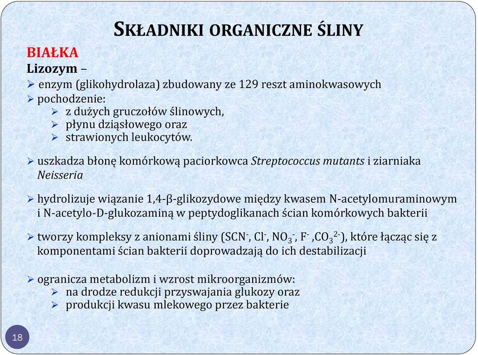 uszkadza błonę komórkową paciorkowca Streptococcus mutants i ziarniaka Neisseria hydrolizuje wiązanie 1,4-β-glikozydowe między kwasem N-acetylomuraminowym i