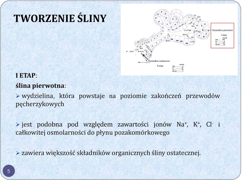 zawartości jonów Na +, K +, Cl - i całkowitej osmolarności do płynu