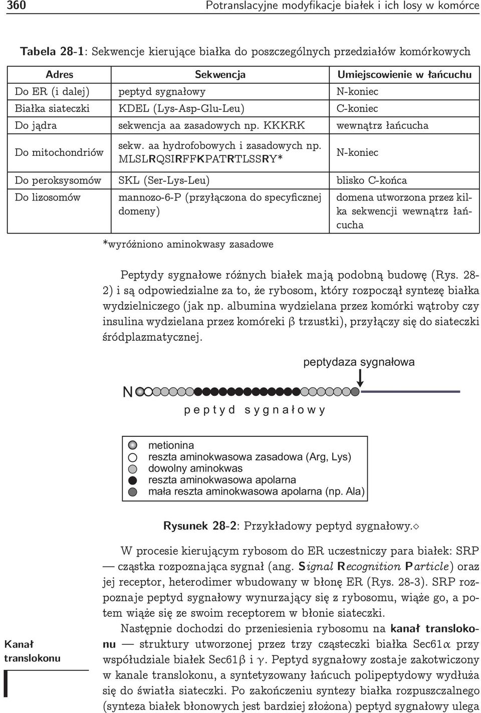 MLLRQIRFFKPATRTLRY* -koniec Do p eroksysomów KL (er-lys-leu) blisko -końca Do lizosomów mannozo-6-p (przyłączona do sp ecyficznej domeny) *wyróżniono aminokwasy zasadowe domena utworzona przez kilka