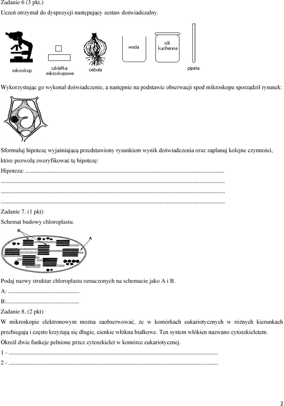 zaplanuj kolejne czynności, które pozwolą zweryfikować tę hipotezę: Hipoteza:... Zadanie 7. (1 pkt) Schemat budowy chloroplastu. Podaj nazwy struktur chloroplastu oznaczonych na schemacie jako A i B.