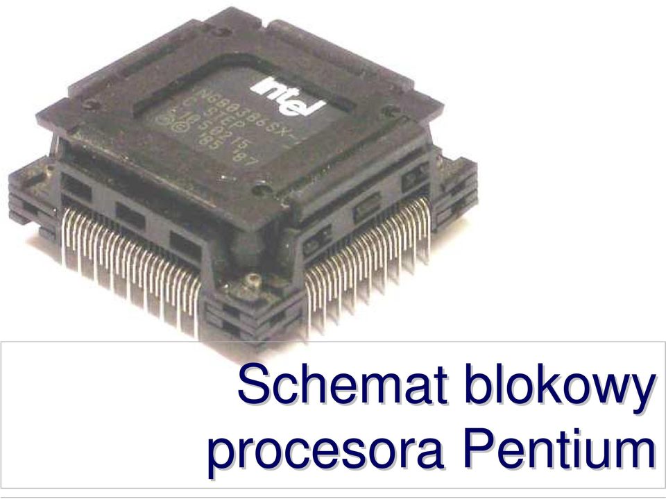 procesora