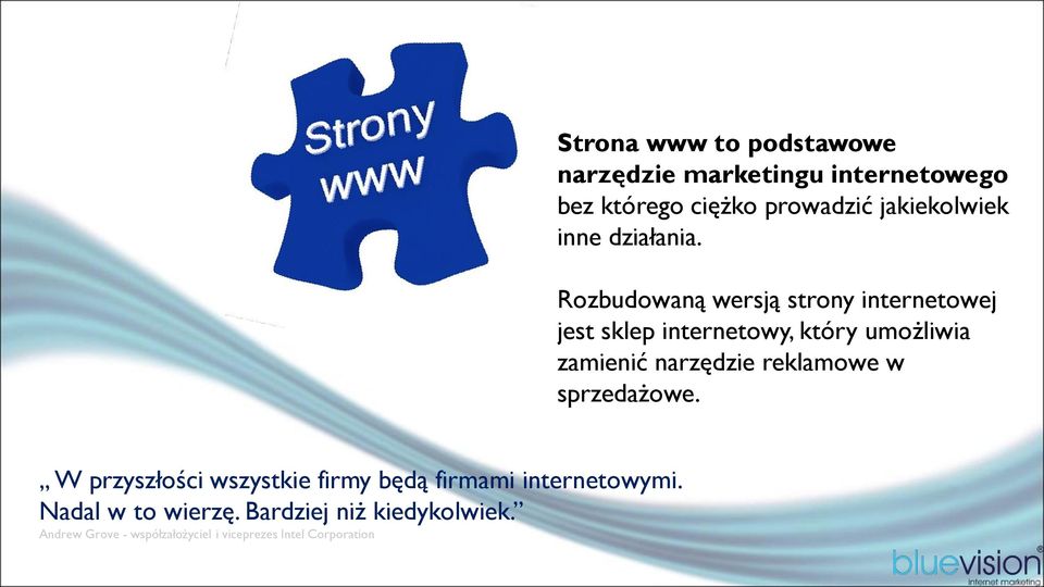 Rozbudowaną wersją strony internetowej jest sklep internetowy, który umożliwia zamienić narzędzie