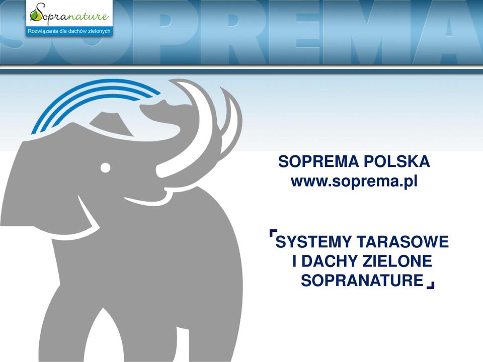 pl SYSTEMY