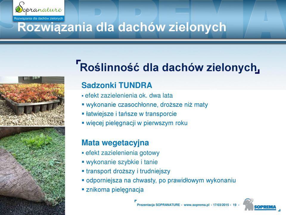 pierwszym roku Mata wegetacyjna efekt zazielenienia gotowy wykonanie szybkie i tanie transport dro szy i