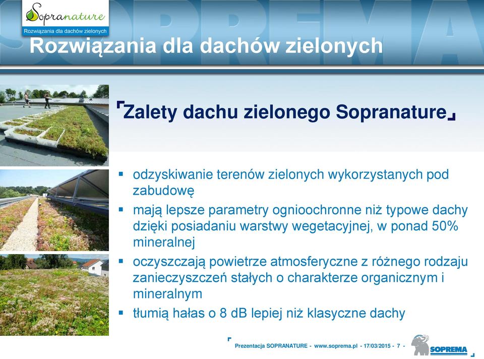 oczyszczają powietrze atmosferyczne z ró nego rodzaju zanieczyszczeń stałych o charakterze organicznym i