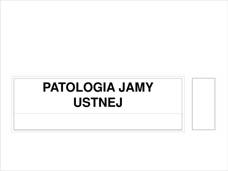 USTNEJ