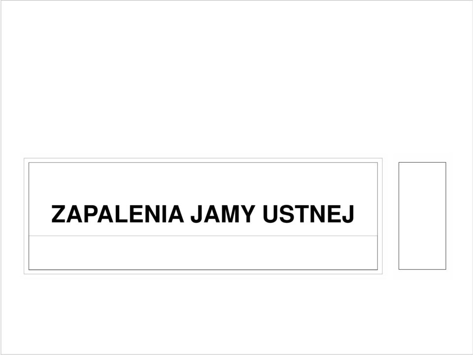 USTNEJ