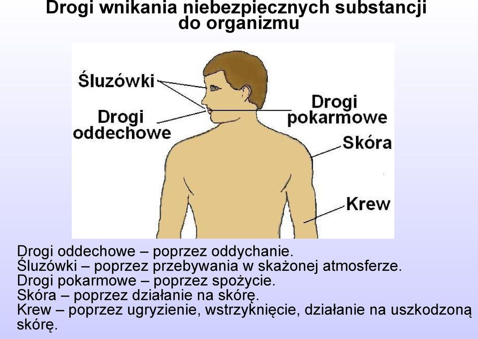 Drogi pokarmowe poprzez spożycie. Skóra poprzez działanie na skórę.