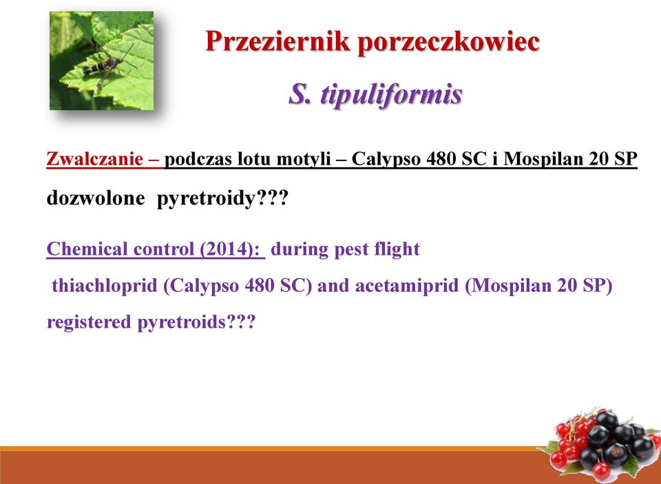 Mospilan 20 SP dozwolone pyretroidy?