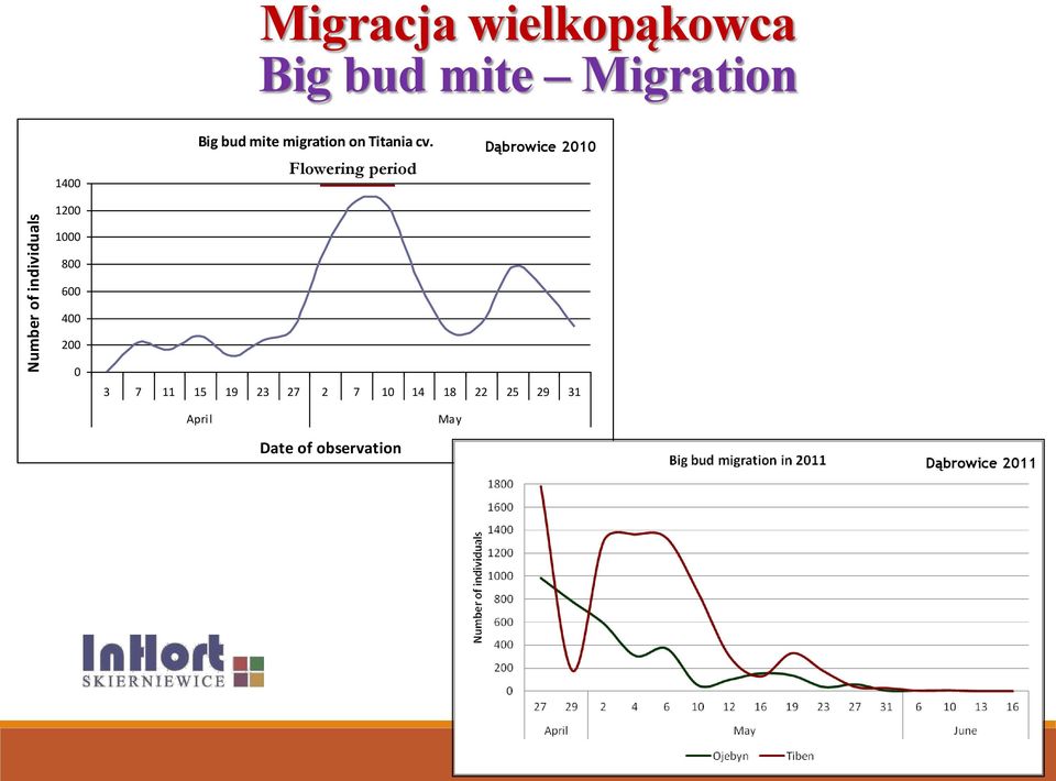 Flowering period Dąbrowice 2010 Number of individuals 1200 1000