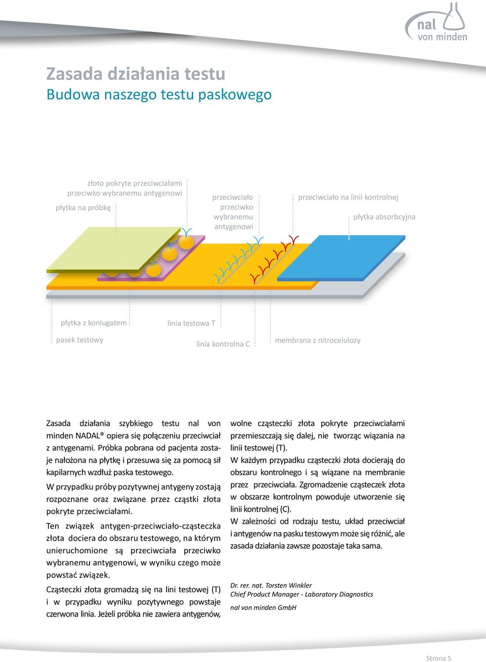 przeciwciał z antygenami. Próbka pobrana od pacjenta zostaje nałożona na płytkę i przesuwa się za pomocą sił kapilarnych wzdłuż paska testowego.
