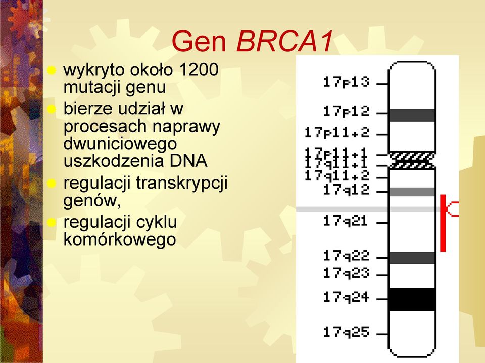 dwuniciowego uszkodzenia DNA regulacji
