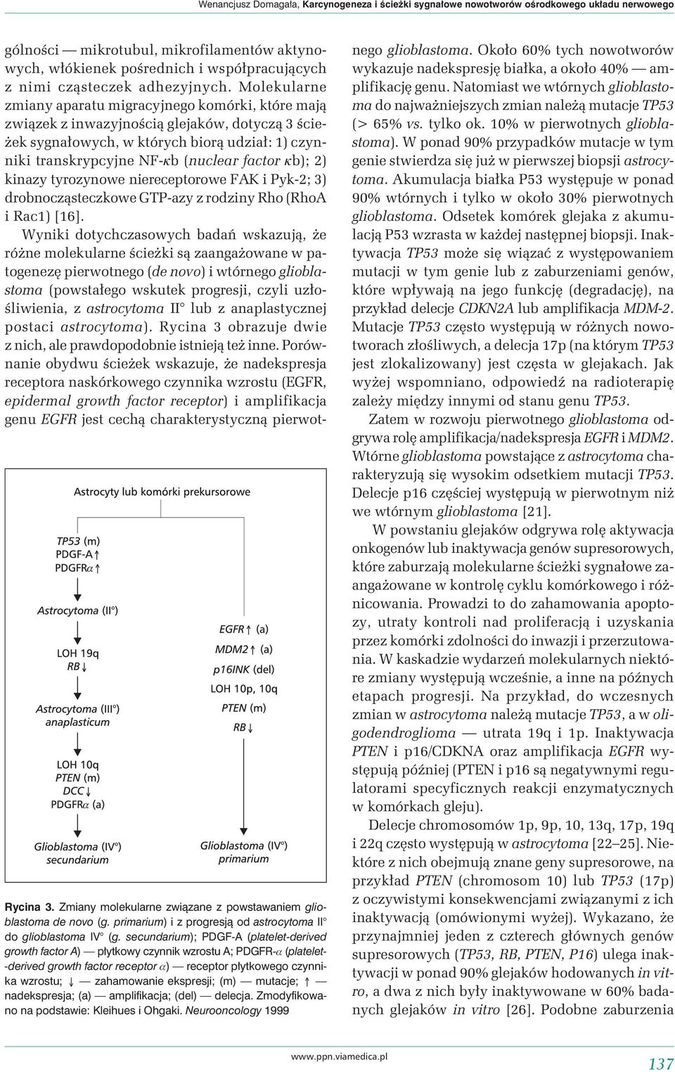 secundarium); PDGF-A (platelet-derived growth factor A) płytkowy czynnik wzrostu A; PDGFR-a (platelet- -derived growth factor receptor a) receptor płytkowego czynnika wzrostu; Ø zahamowanie