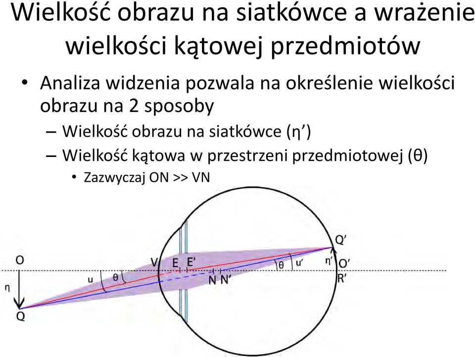 wielkości obrazu na 2 sposoby Wielkość obrazu na siatkówce