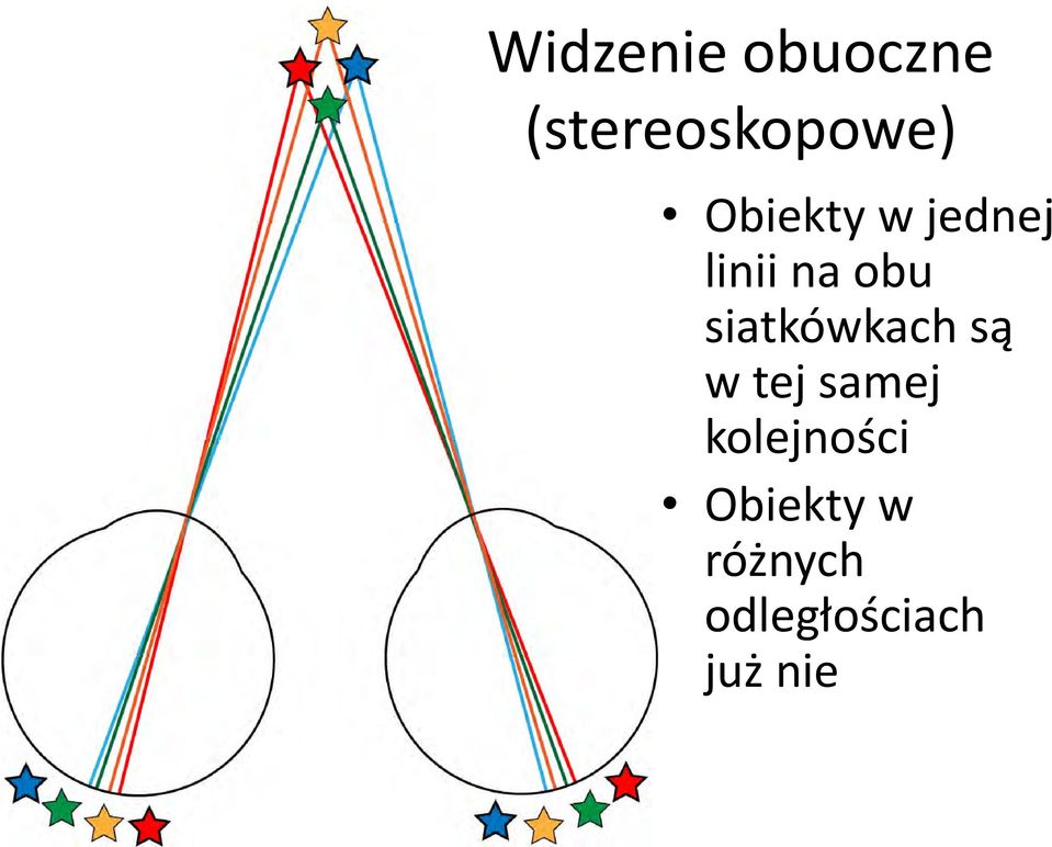 siatkówkach są w tej samej