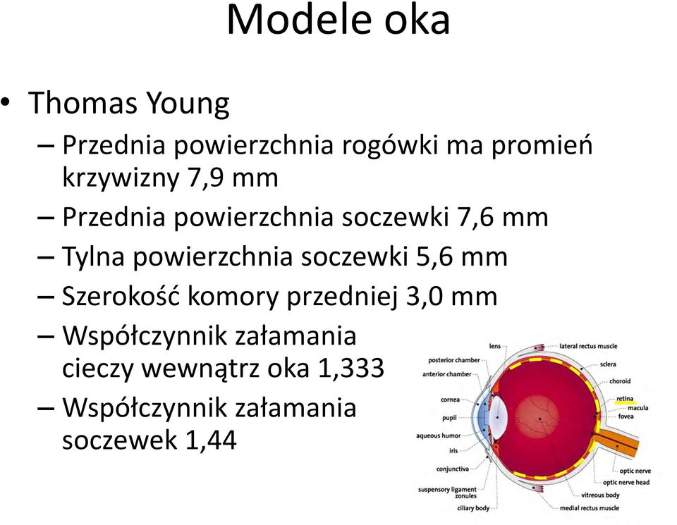 powierzchnia soczewki 5,6 mm Szerokość komory przedniej 3,0 mm
