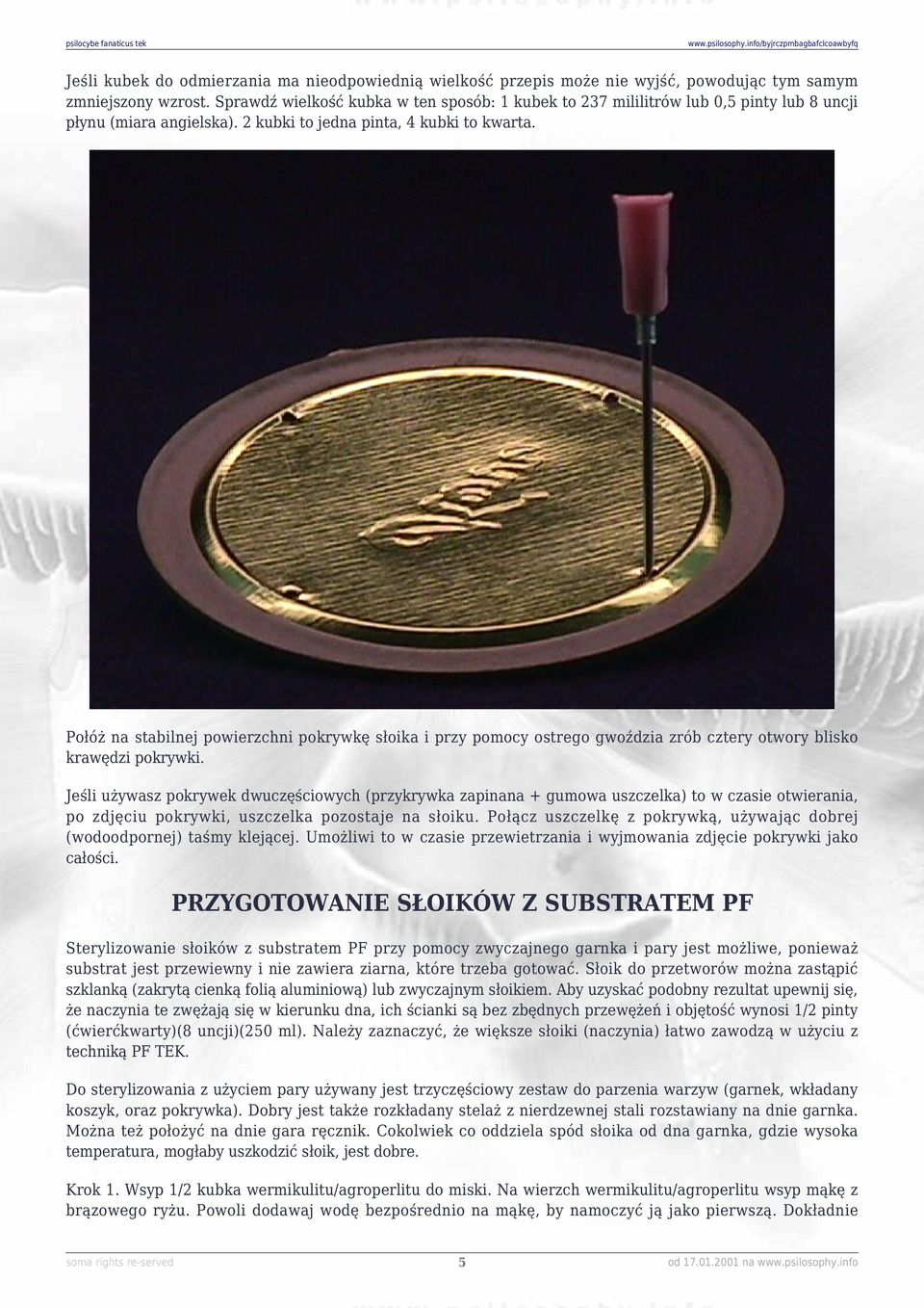 Połóż na stabilnej powierzchni pokrywkę słoika i przy pomocy ostrego gwoździa zrób cztery otwory blisko krawędzi pokrywki.