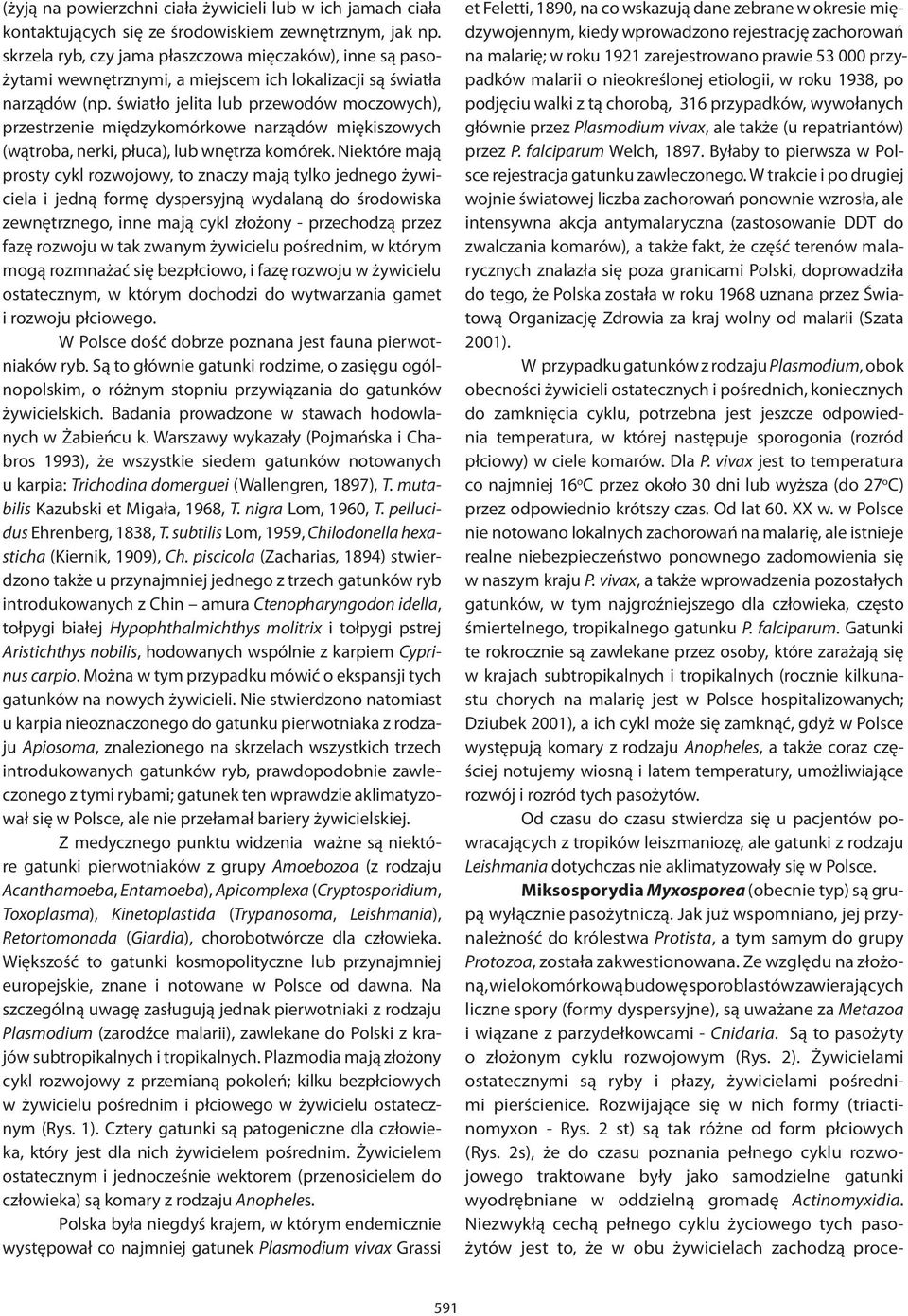 światło jelita lub przewodów moczowych), przestrzenie międzykomórkowe narządów miękiszowych (wątroba, nerki, płuca), lub wnętrza komórek.