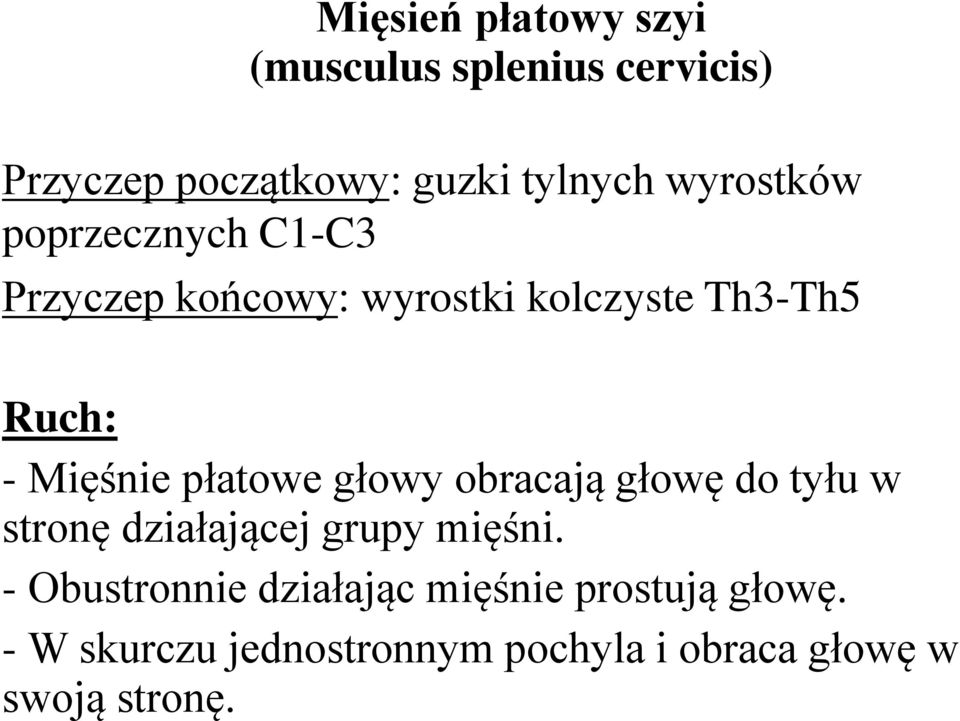 płatowe głowy obracają głowę do tyłu w stronę działającej grupy mięśni.