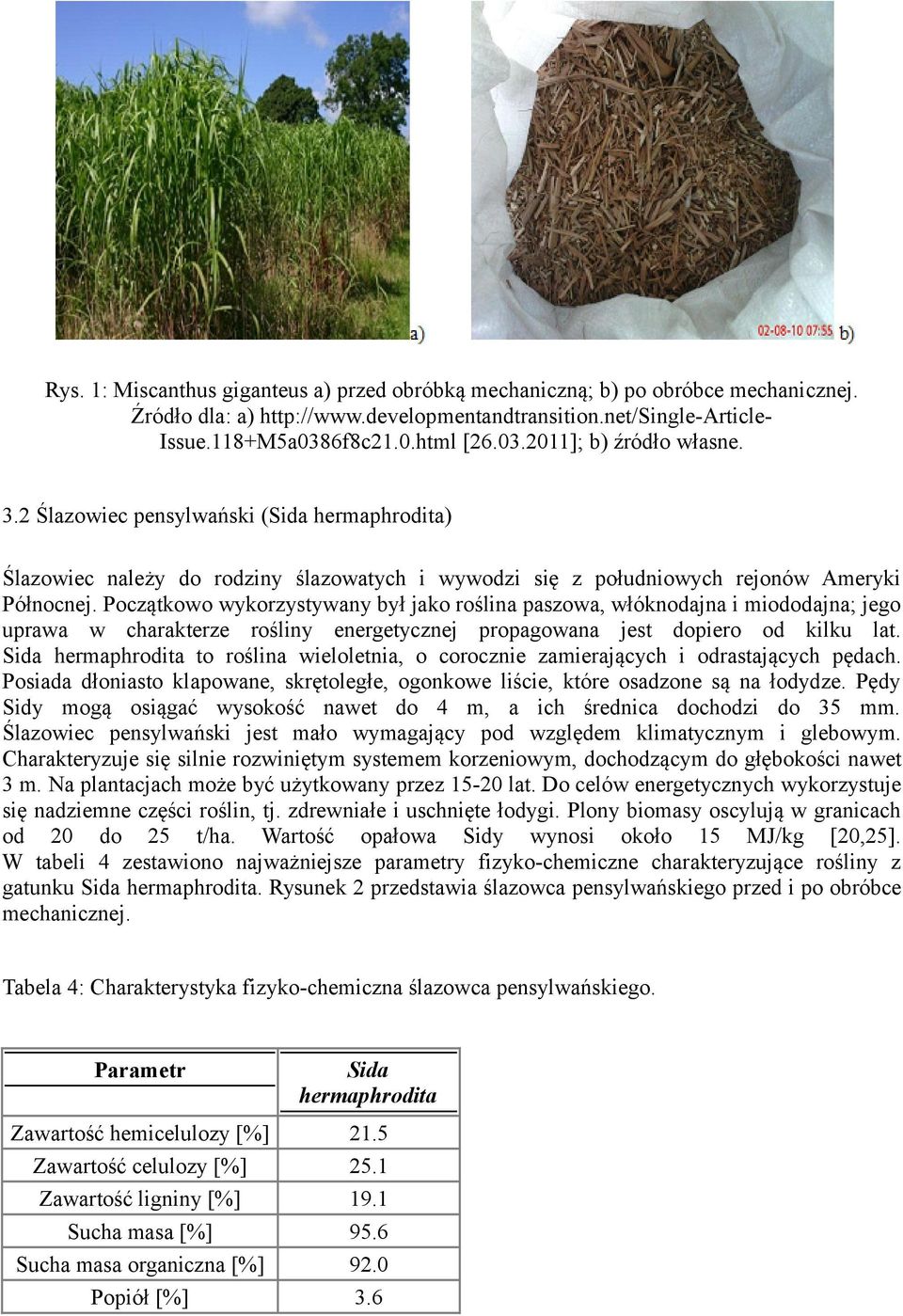 Początkowo wykorzystywany był jako roślina paszowa, włóknodajna i miododajna; jego uprawa w charakterze rośliny energetycznej propagowana jest dopiero od kilku lat.