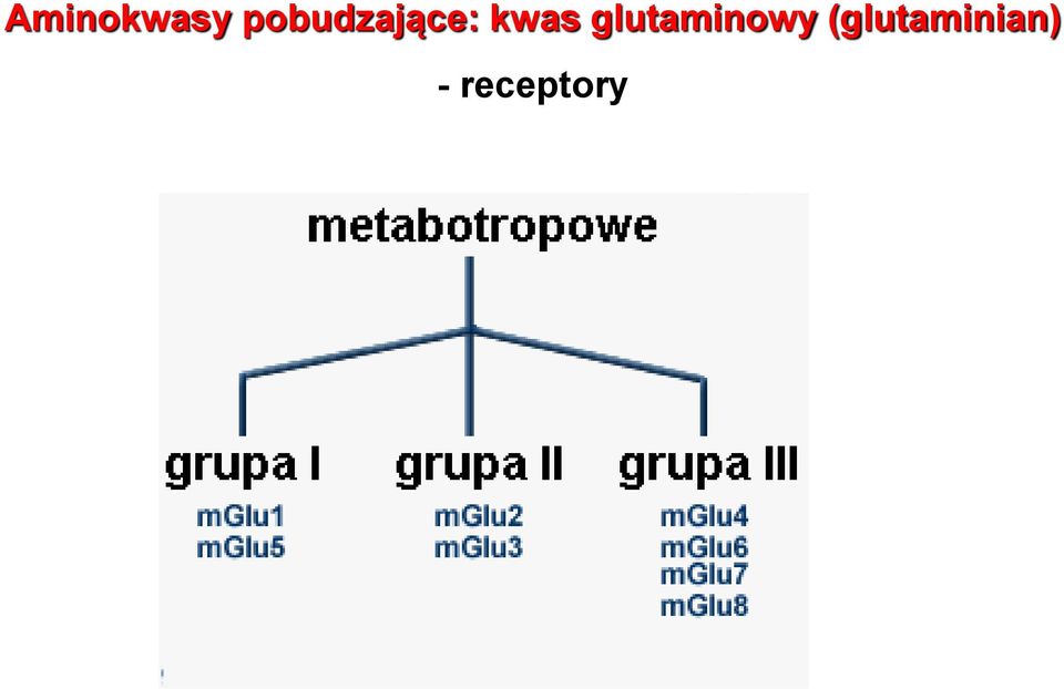 kwas glutaminowy