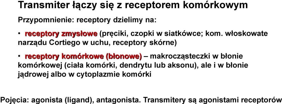 włoskowate narządu Cortiego w uchu, receptory skórne) receptory komórkowe (błonowe) makrocząsteczki w