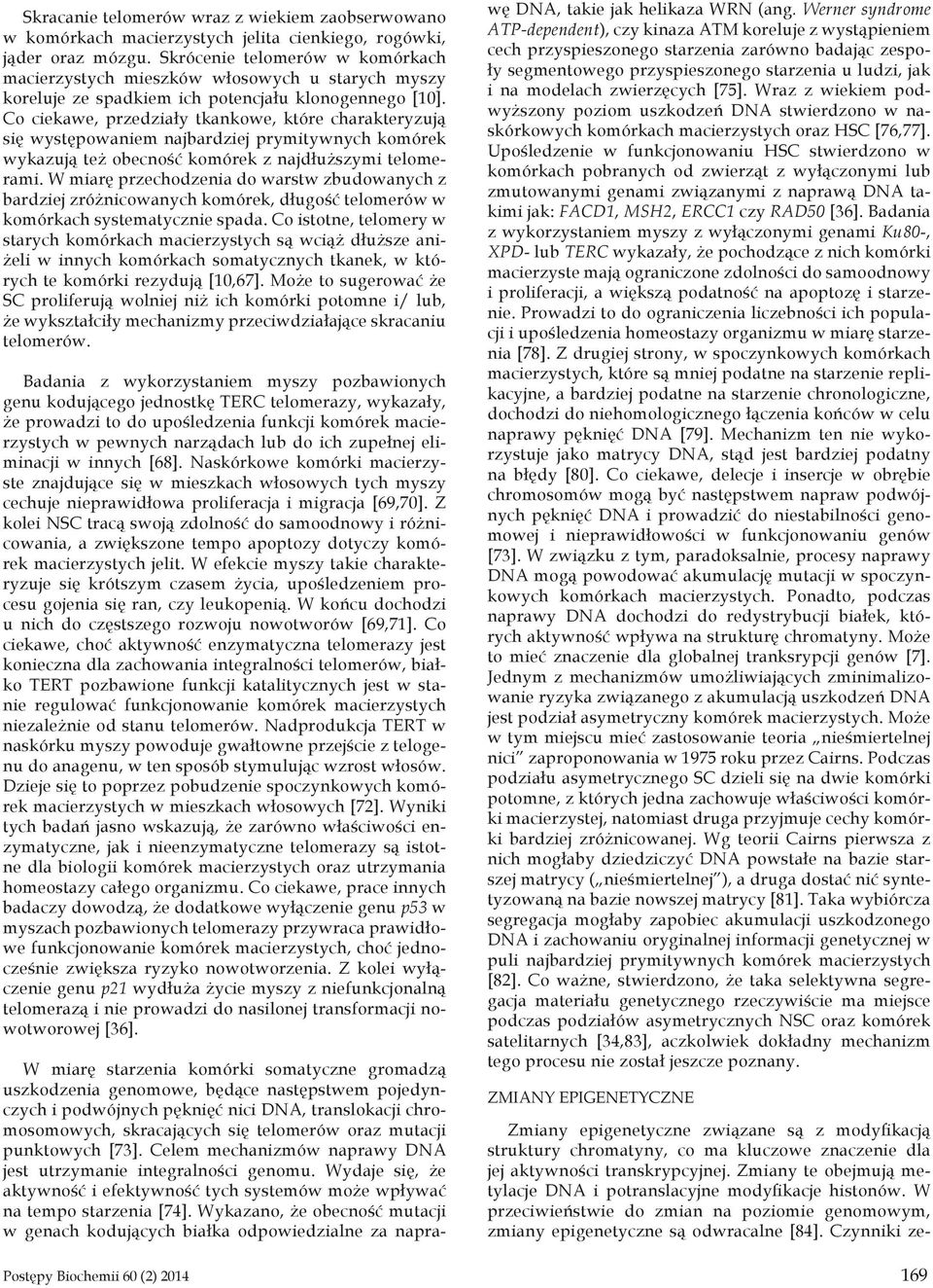 Co ciekawe, przedziały tkankowe, które charakteryzują się występowaniem najbardziej prymitywnych komórek wykazują też obecność komórek z najdłuższymi telomerami.