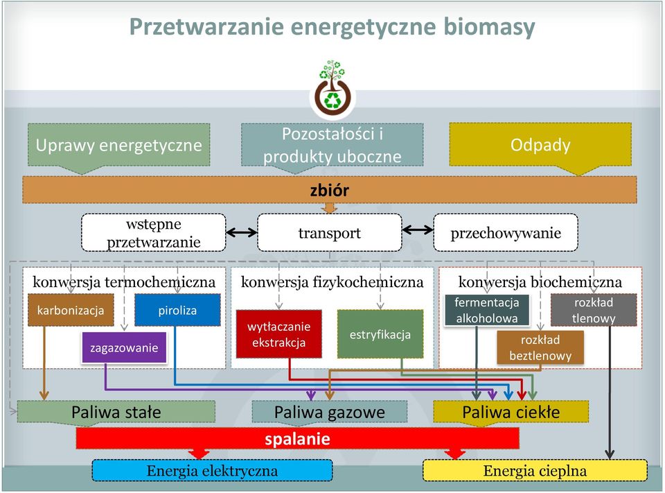 biochemiczna karbonizacja zagazowanie piroliza wytłaczanie ekstrakcja estryfikacja fermentacja alkoholowa