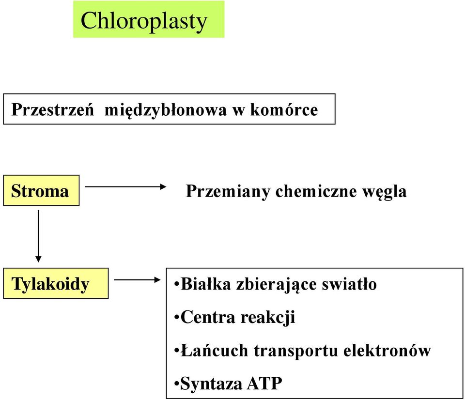 Tylakoidy Białka zbierające swiatło Centra