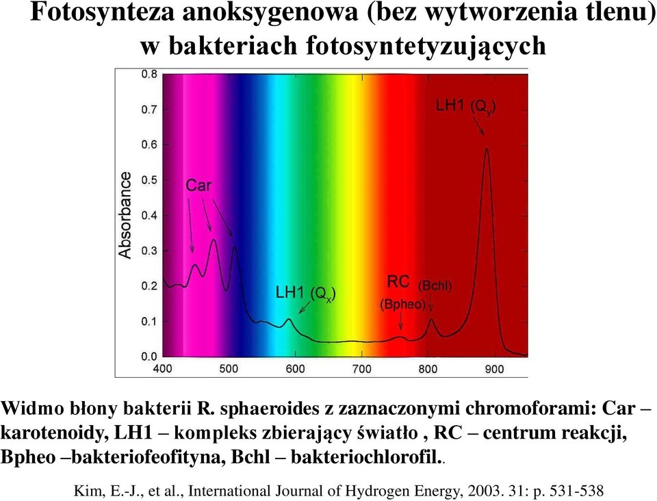 sphaeroides z zaznaczonymi chromoforami: Car karotenoidy, LH1 kompleks zbierający