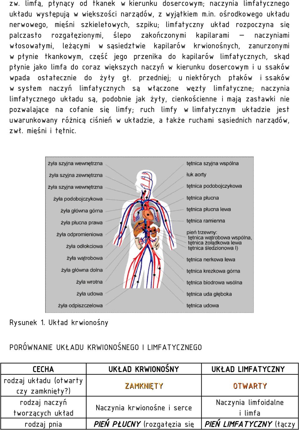 Budowa I Funkcjonowanie Układu Krążenia U Zwierząt Pdf