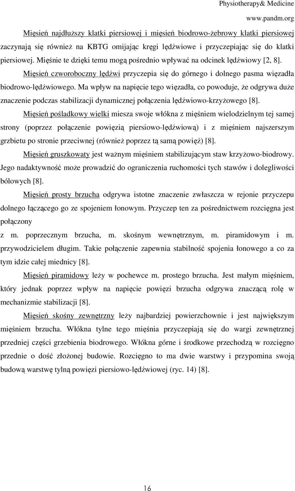 Ma wpływ na napięcie tego więzadła, co powoduje, że odgrywa duże znaczenie podczas stabilizacji dynamicznej połączenia lędźwiowo-krzyżowego [8].