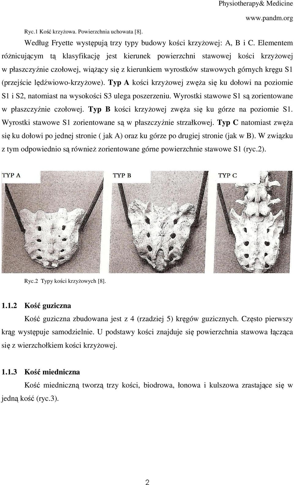 lędźwiowo-krzyżowe). Typ A kości krzyżowej zwęża się ku dołowi na poziomie S1 i S2, natomiast na wysokości S3 ulega poszerzeniu. Wyrostki stawowe S1 są zorientowane w płaszczyźnie czołowej.