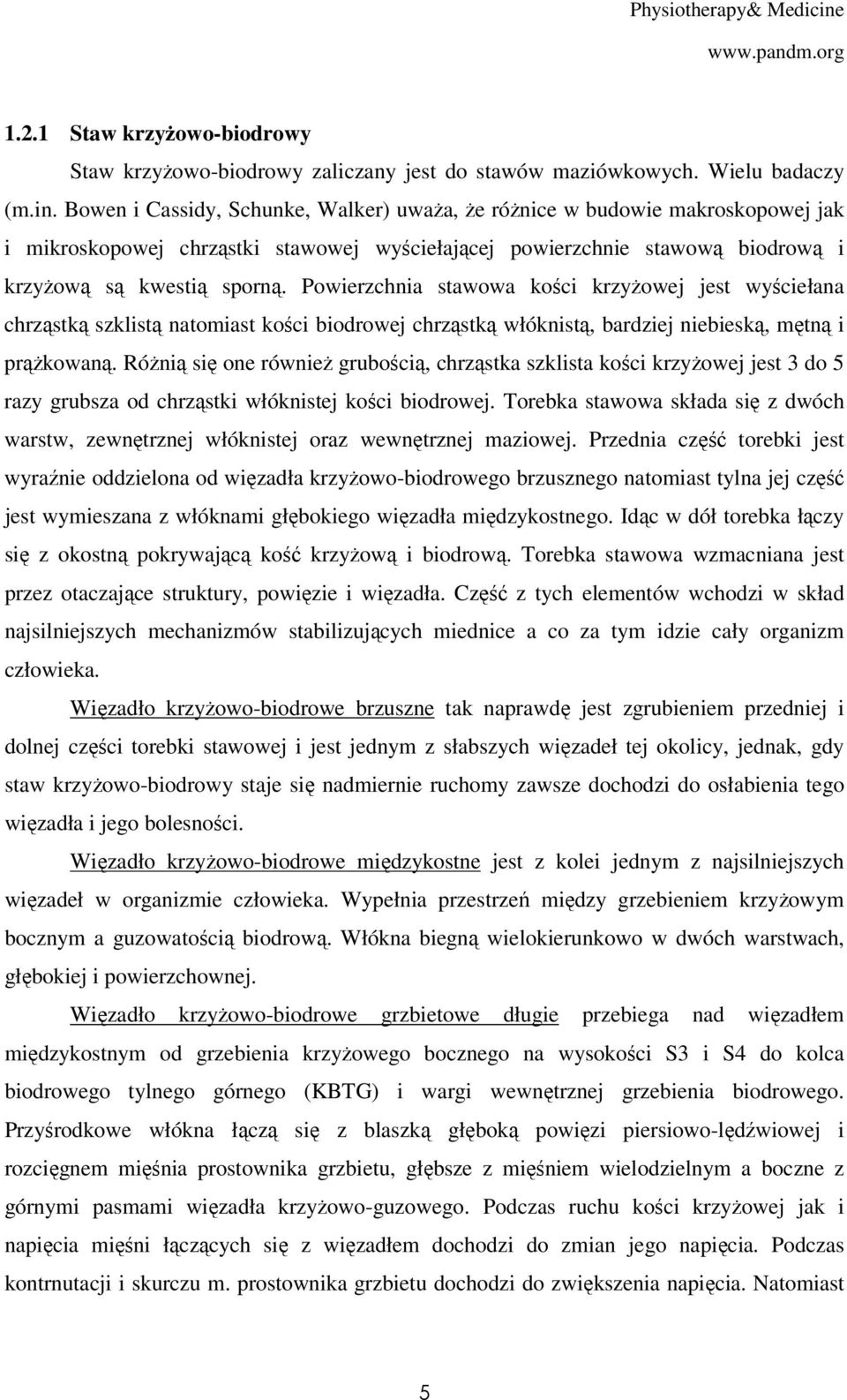 Powierzchnia stawowa kości krzyżowej jest wyściełana chrząstką szklistą natomiast kości biodrowej chrząstką włóknistą, bardziej niebieską, mętną i prążkowaną.