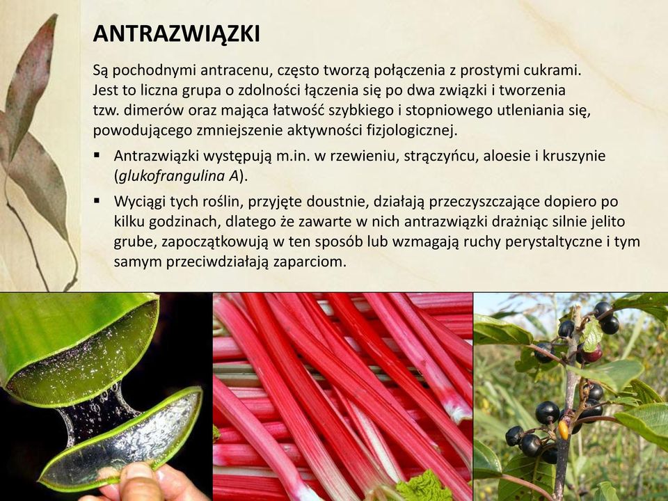 w rzewieniu, strączyńcu, aloesie i kruszynie (glukofrangulina A).