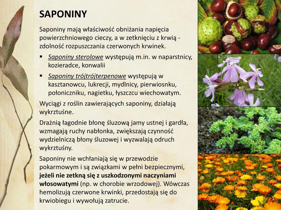 Drażnią łagodnie błonę śluzową jamy ustnej i gardła, wzmagają ruchy nabłonka, zwiększają czynność wydzielniczą błony śluzowej i wyzwalają odruch wykrztuśny.