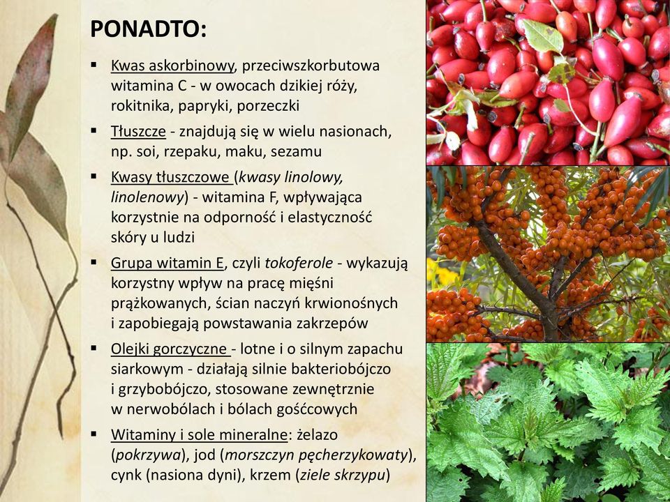 - wykazują korzystny wpływ na pracę mięśni prążkowanych, ścian naczyń krwionośnych i zapobiegają powstawania zakrzepów Olejki gorczyczne - lotne i o silnym zapachu siarkowym - działają
