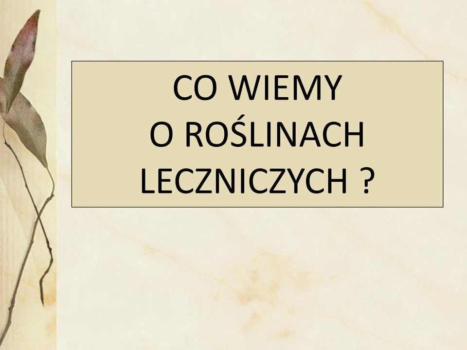 RŚLINACH